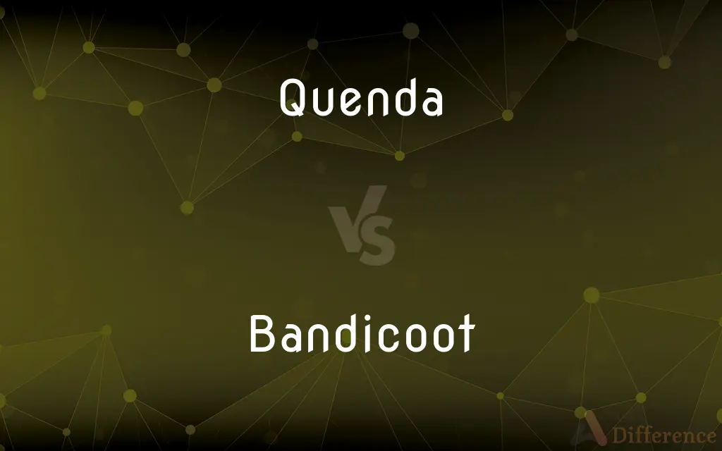 Quenda vs. Bandicoot — What's the Difference?