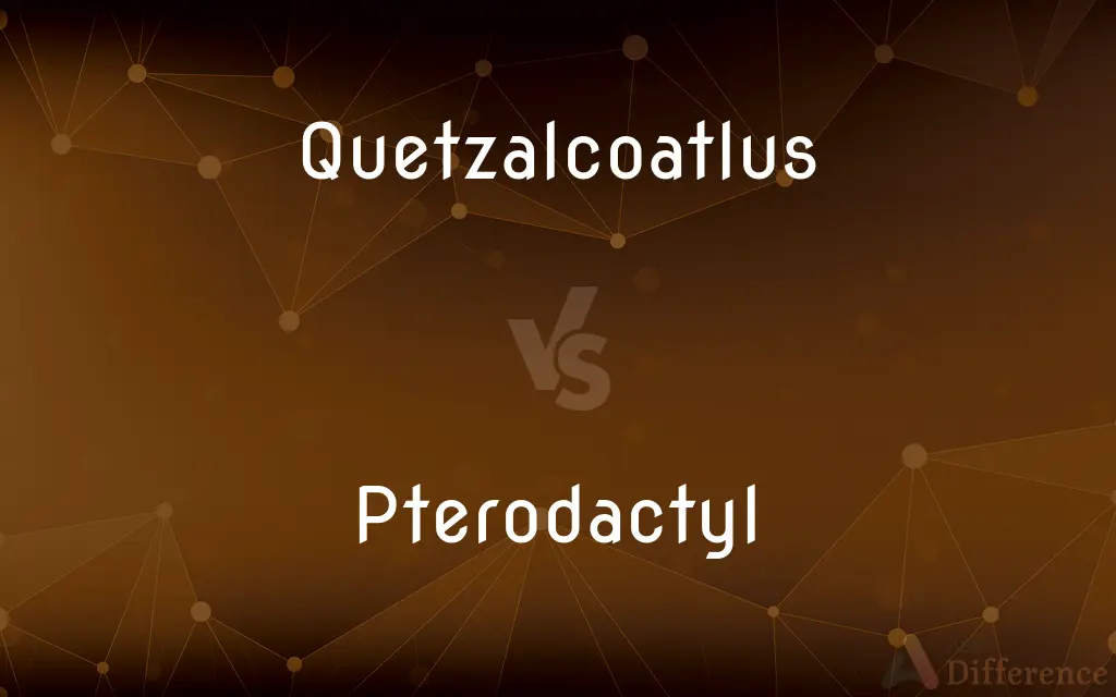 Quetzalcoatlus vs. Pterodactyl — What's the Difference?