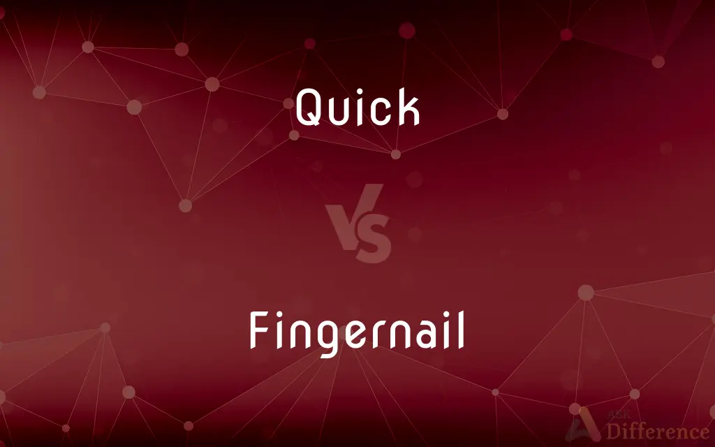 Quick vs. Fingernail — What's the Difference?