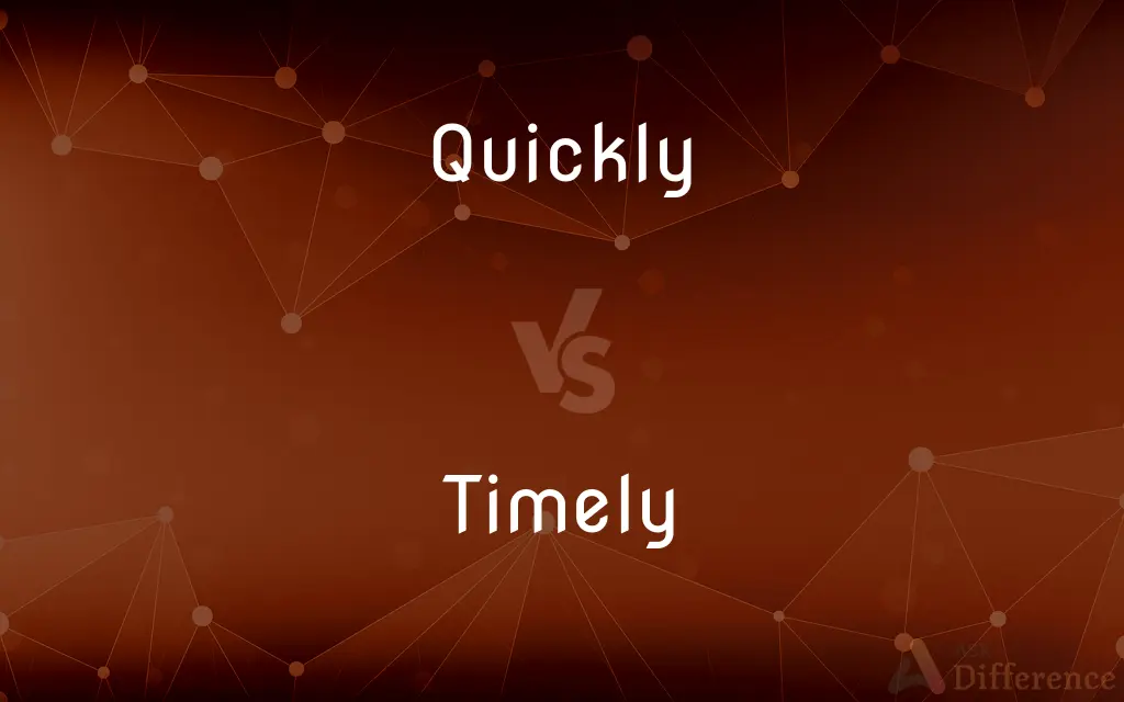Quickly vs. Timely — What's the Difference?