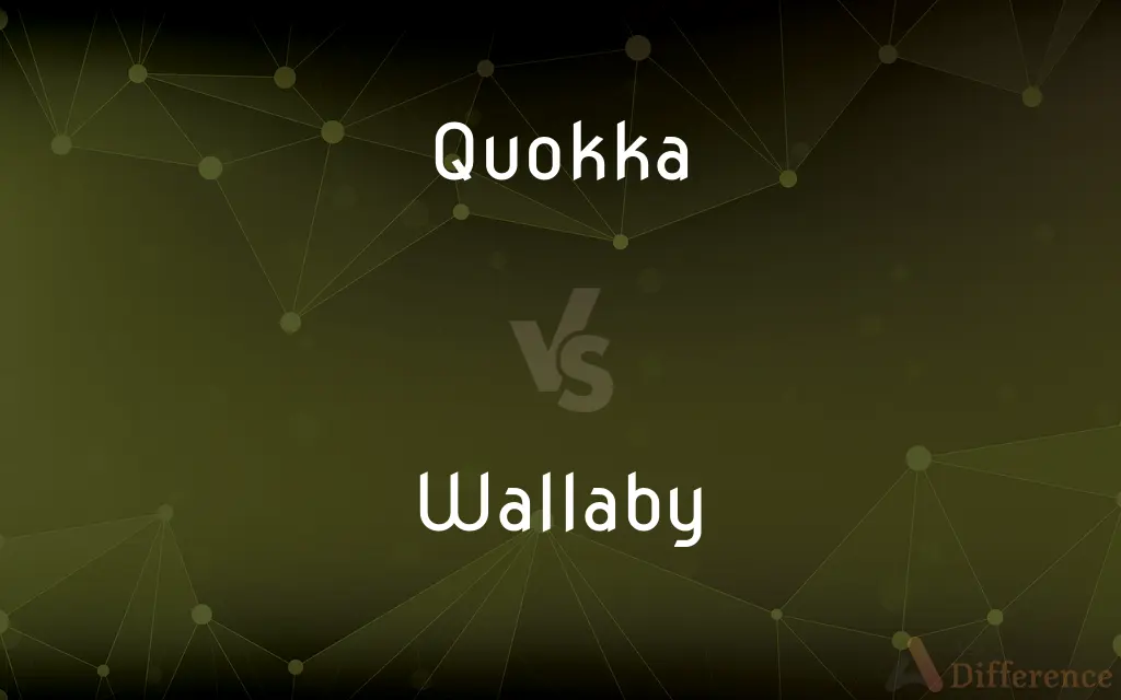 Quokka vs. Wallaby — What's the Difference?
