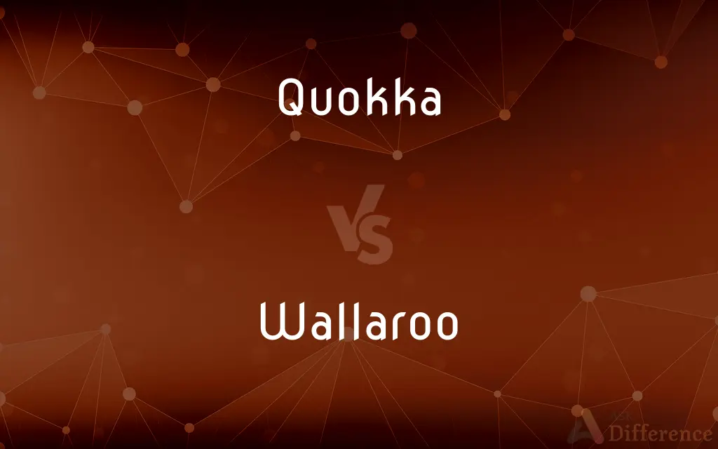 Quokka vs. Wallaroo — What's the Difference?