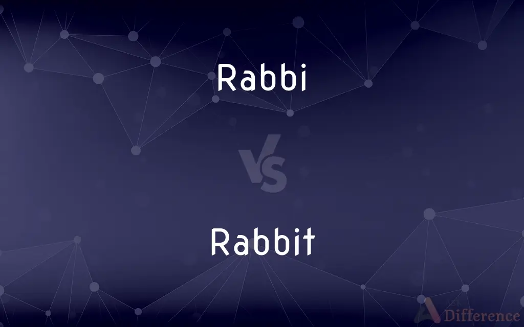 Rabbi vs. Rabbit — What's the Difference?
