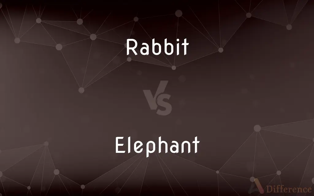 Rabbit vs. Elephant — What's the Difference?