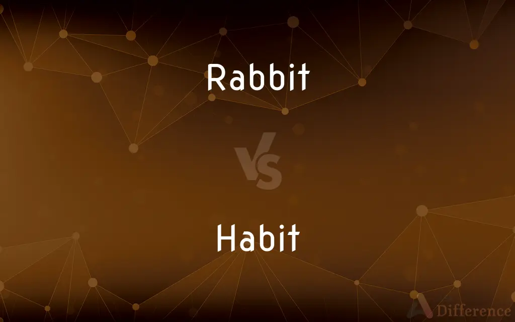 Rabbit vs. Habit — What's the Difference?
