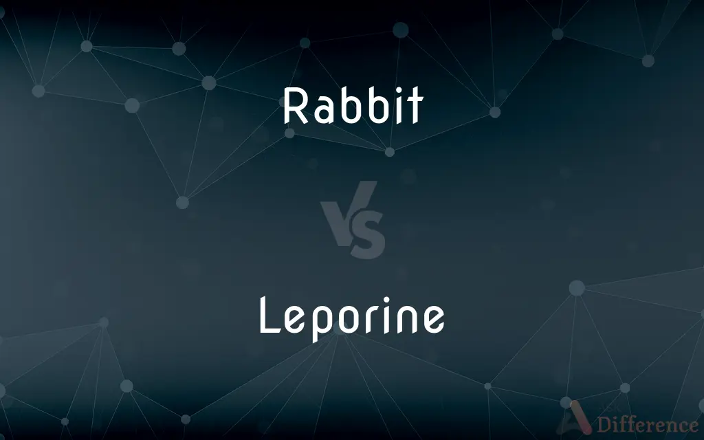Rabbit vs. Leporine — What's the Difference?