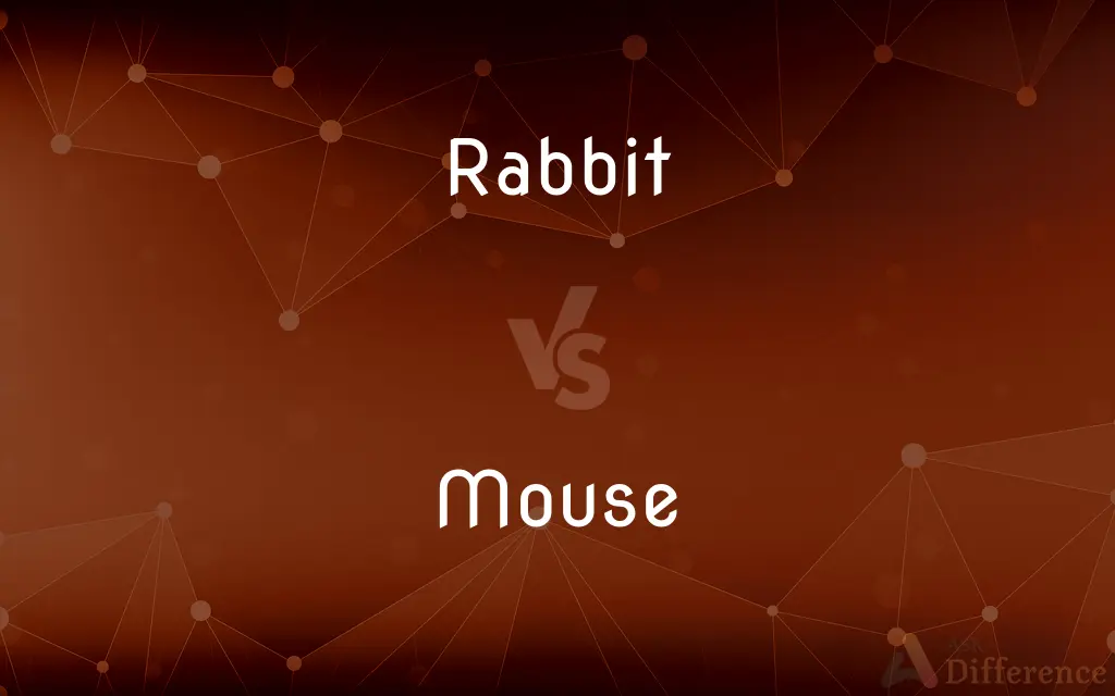 Rabbit vs. Mouse — What's the Difference?