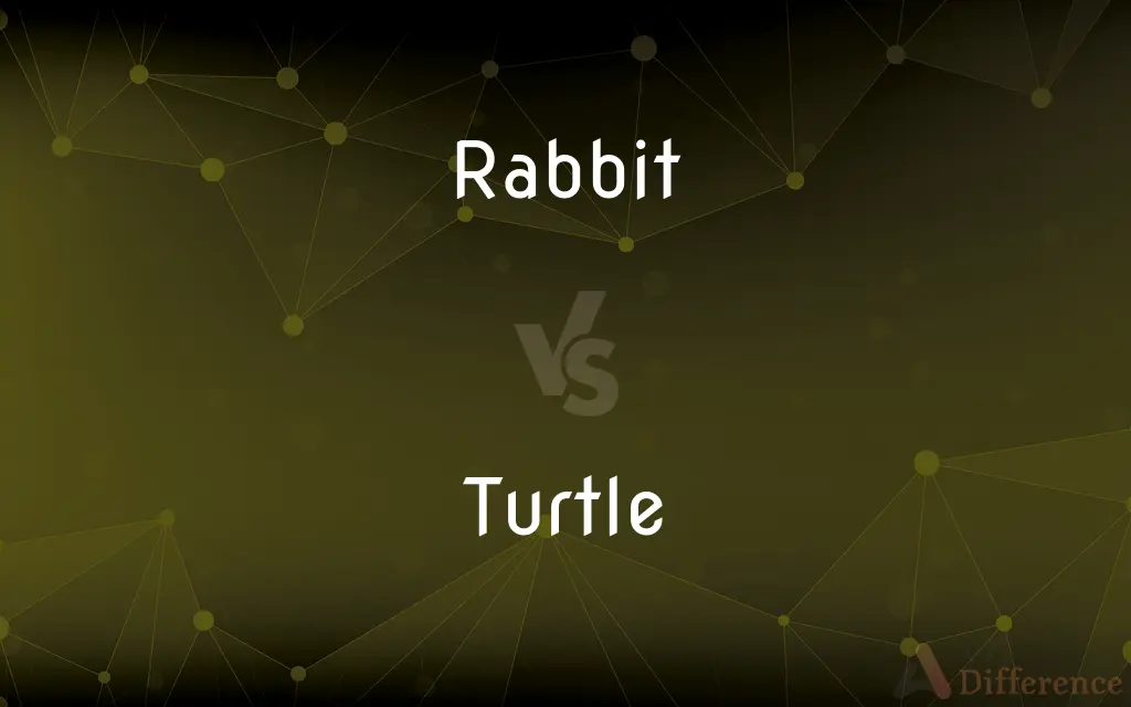 Rabbit vs. Turtle — What's the Difference?