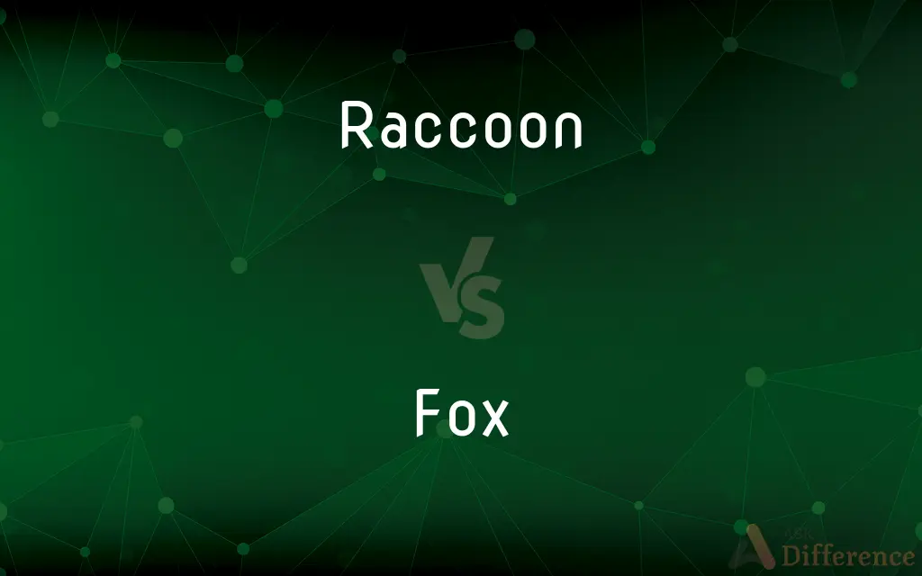 Raccoon vs. Fox — What's the Difference?