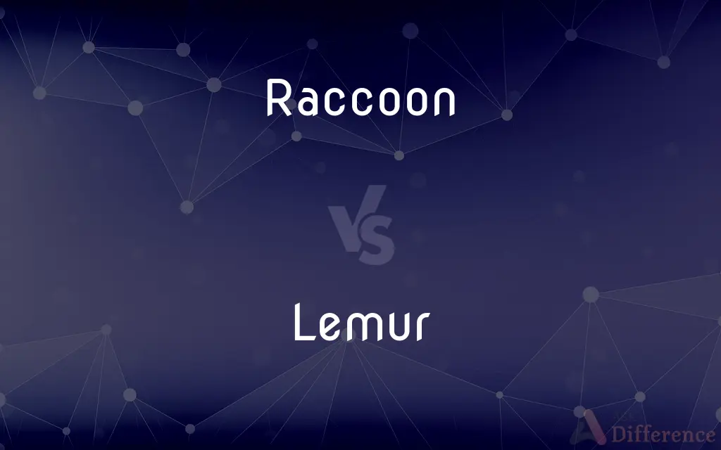 Raccoon vs. Lemur — What's the Difference?
