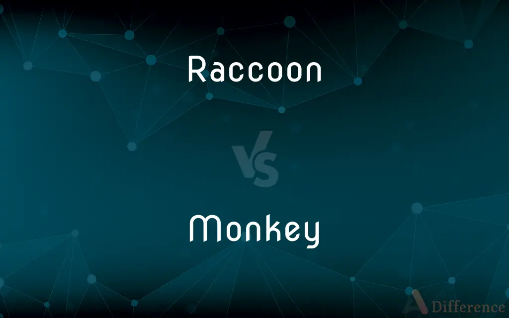 Raccoon vs. Monkey — What's the Difference?