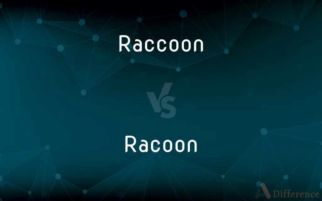 Raccoon vs. Racoon — Which is Correct Spelling?