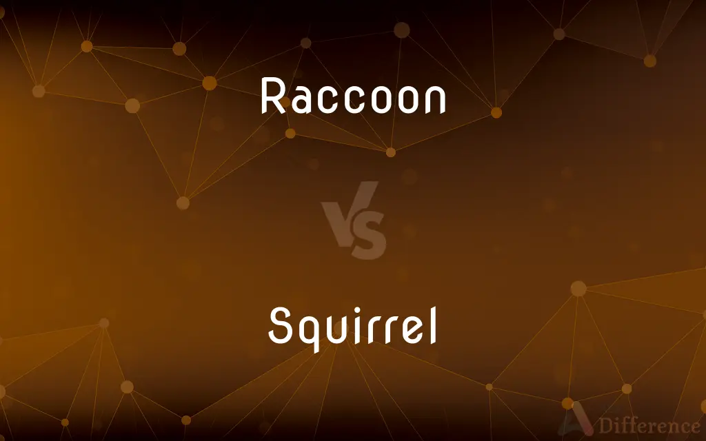 Raccoon vs. Squirrel — What's the Difference?