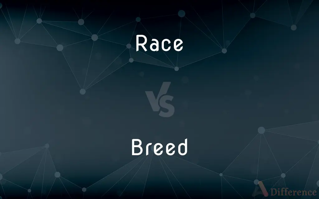 Race vs. Breed — What's the Difference?