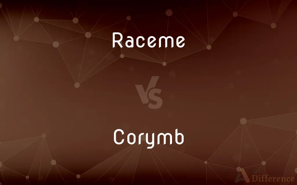 Raceme vs. Corymb — What's the Difference?