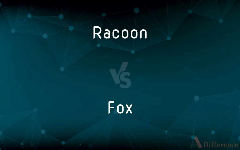 Racoon vs. Fox — What's the Difference?