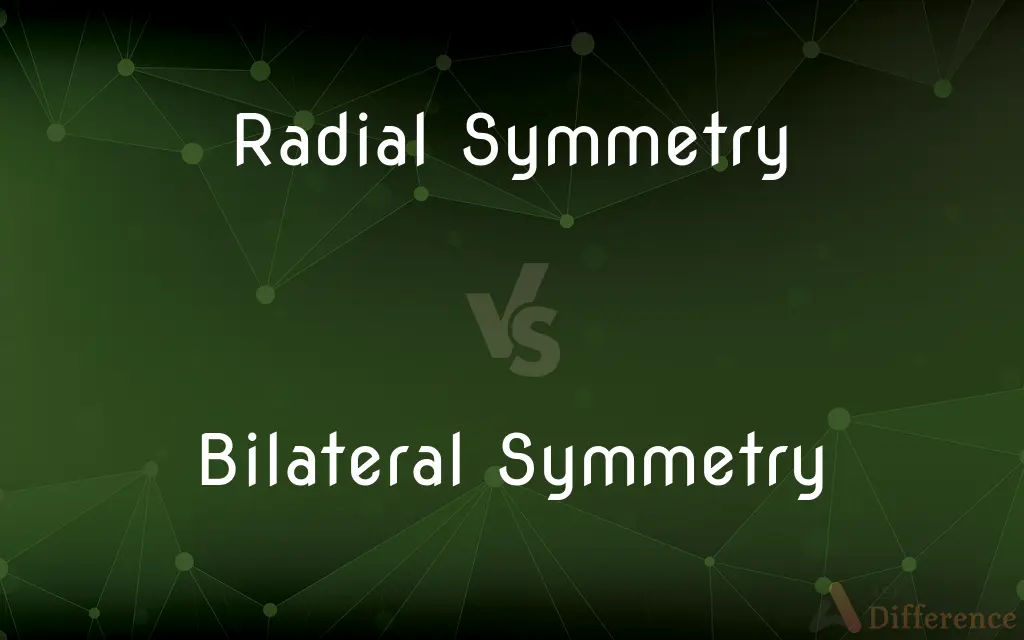Radial Symmetry vs. Bilateral Symmetry — What's the Difference?