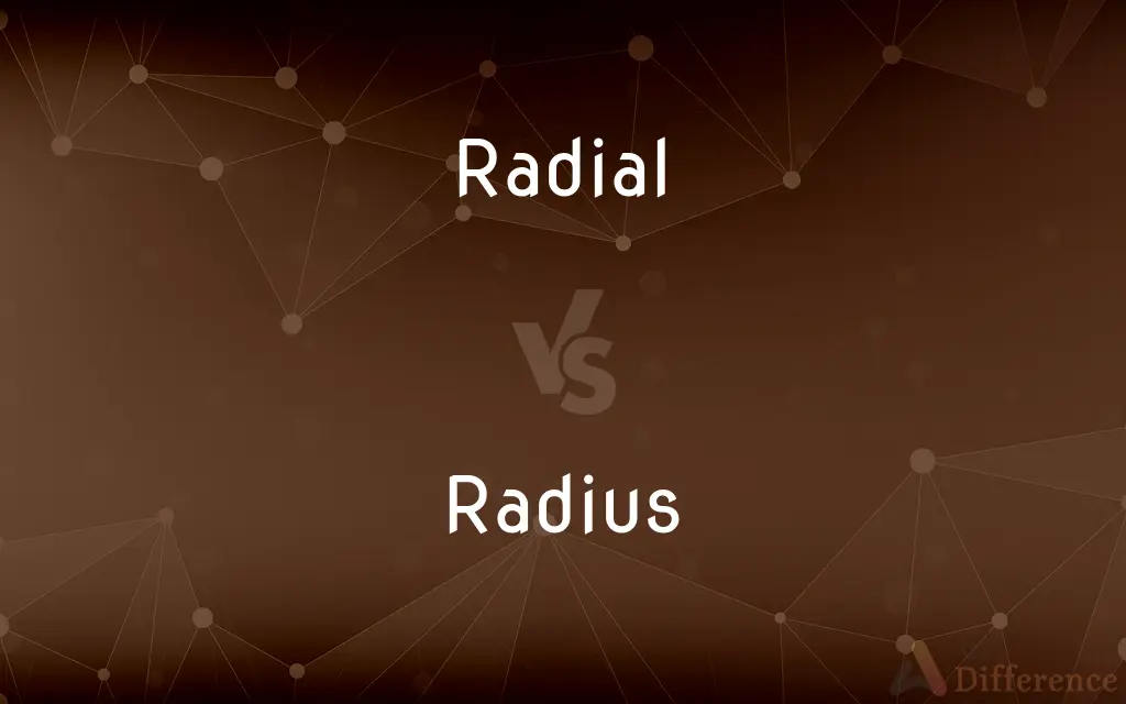 Radial vs. Radius — What's the Difference?