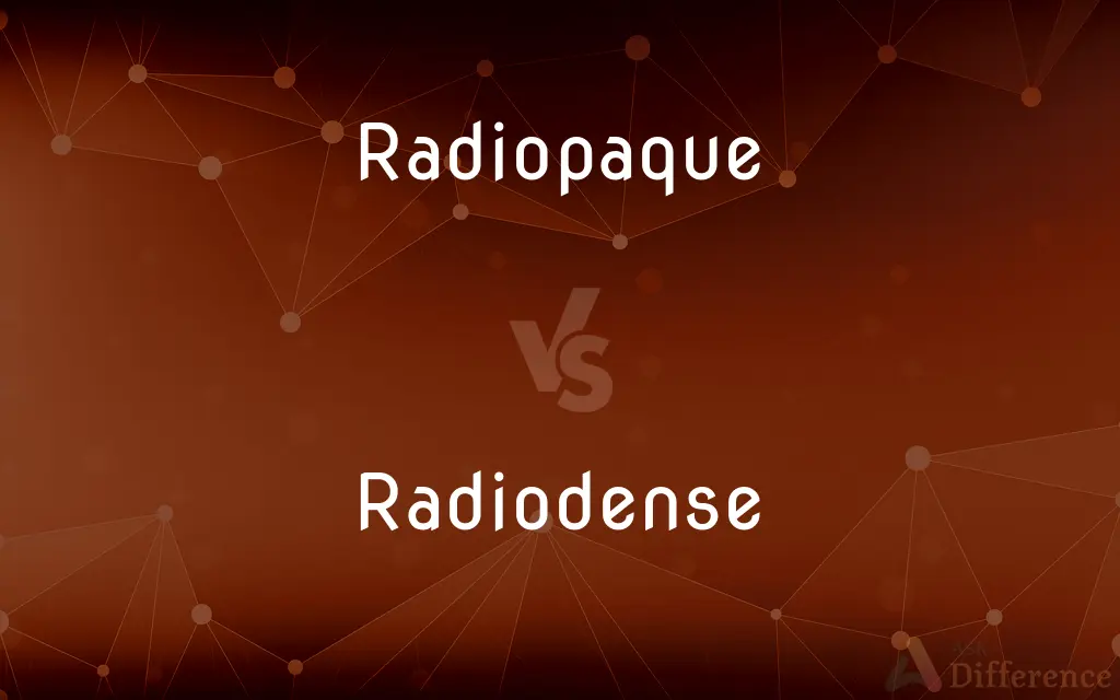 Radiopaque vs. Radiodense — What's the Difference?
