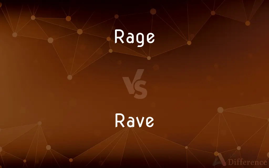 Rage vs. Rave — What's the Difference?