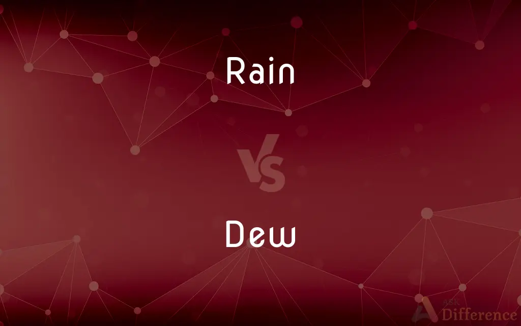 Rain vs. Dew — What's the Difference?