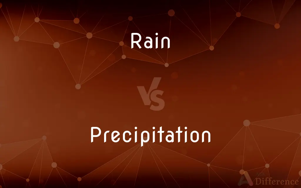 Rain vs. Precipitation — What's the Difference?