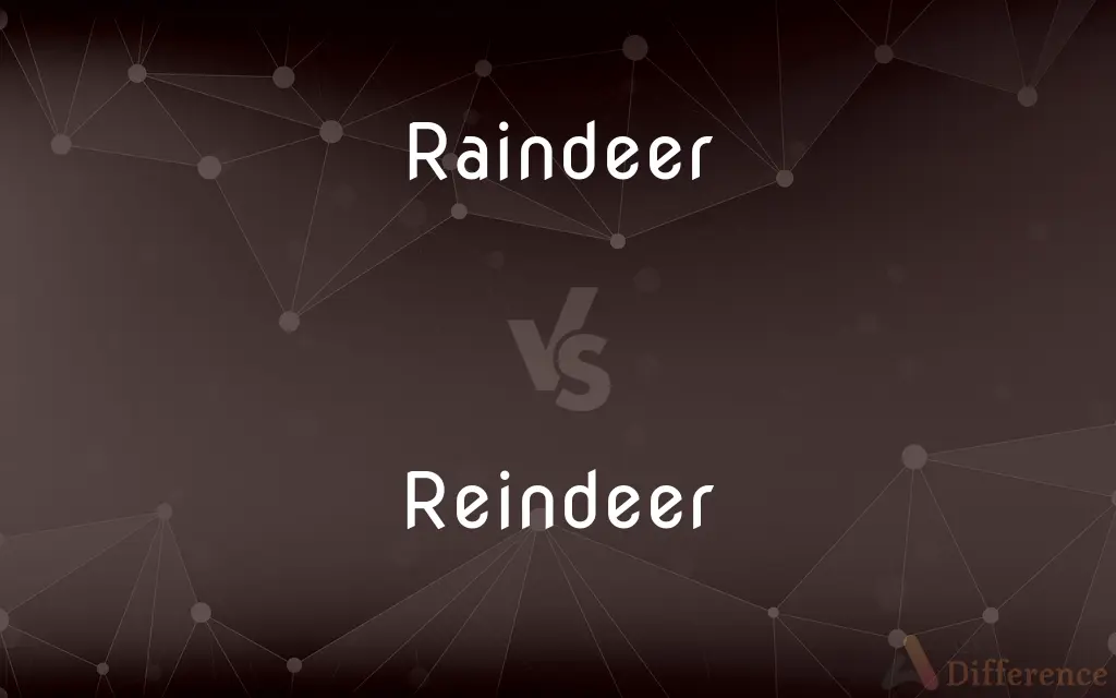 Raindeer vs. Reindeer — What's the Difference?