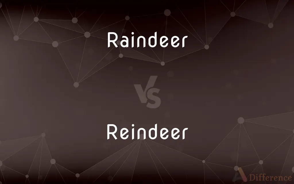 Raindeer vs. Reindeer — Which is Correct Spelling?