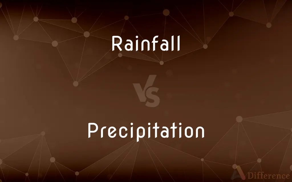 Rainfall vs. Precipitation — What's the Difference?