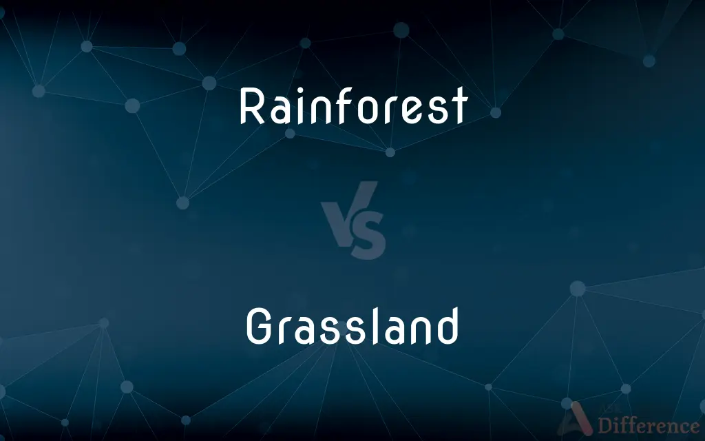 Rainforest vs. Grassland — What's the Difference?