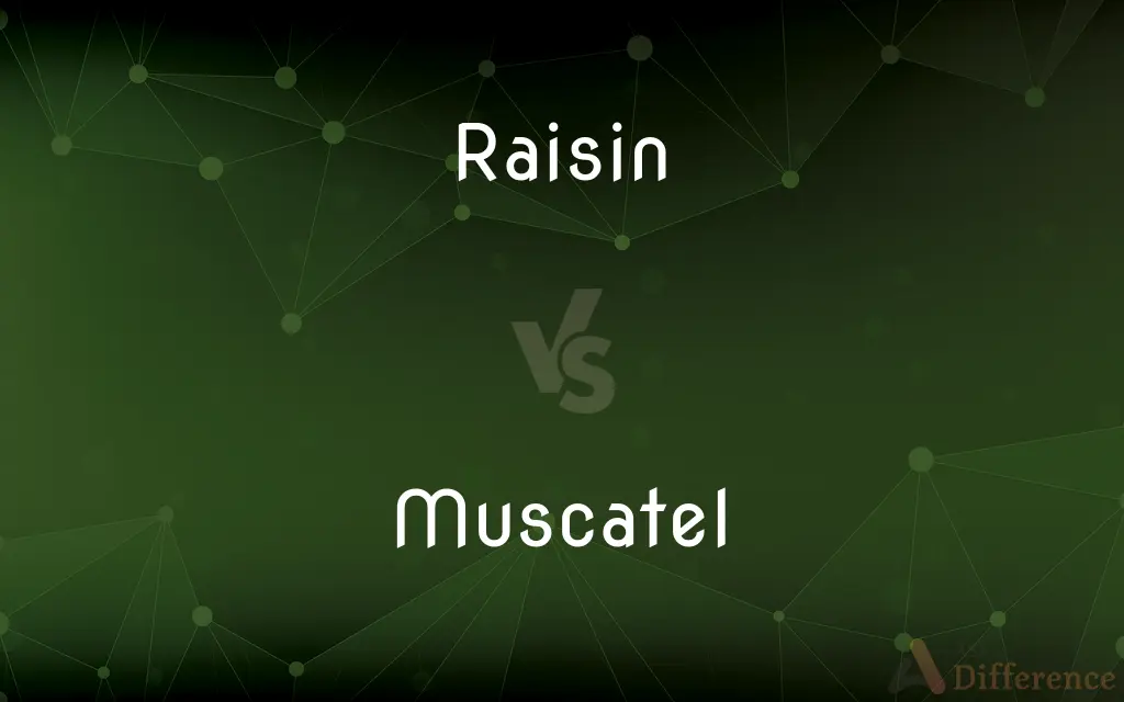 Raisin vs. Muscatel — What's the Difference?