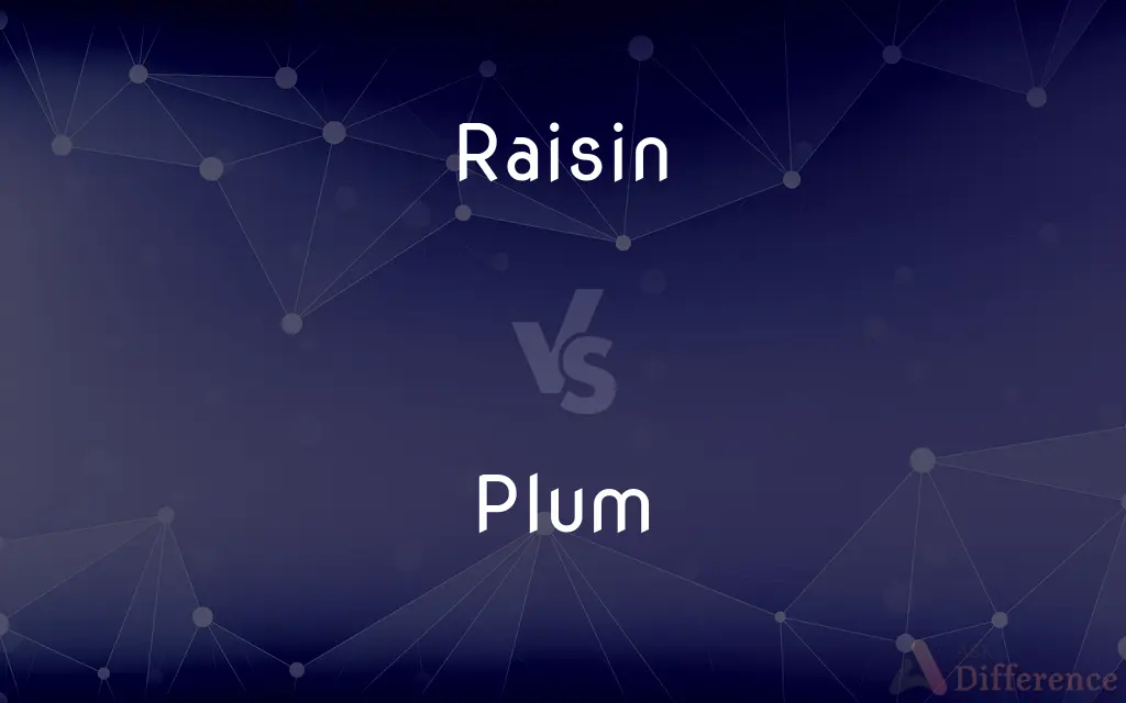 Raisin vs. Plum — What's the Difference?