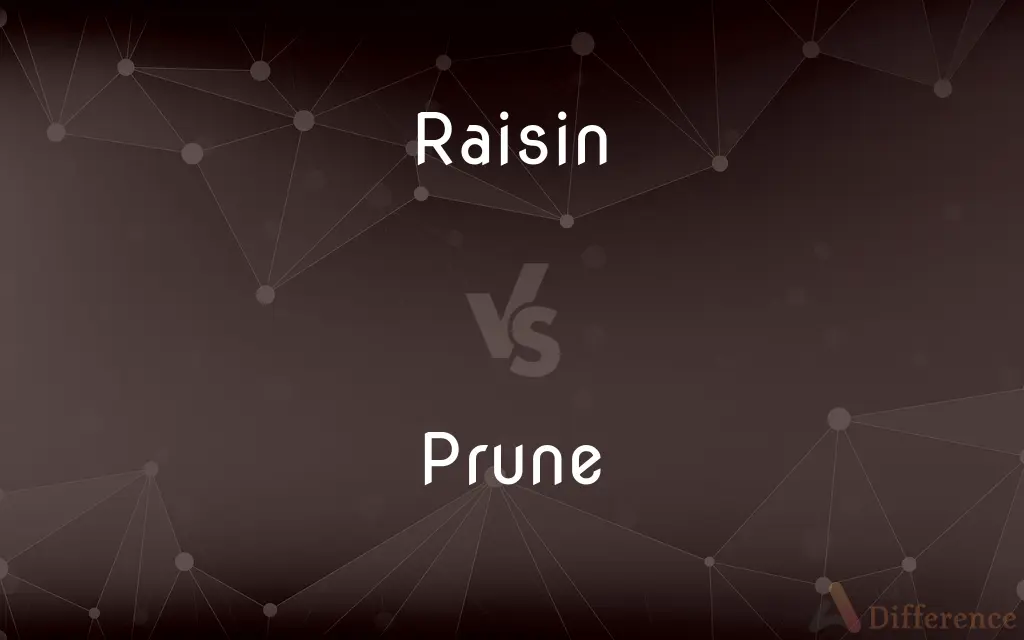 Raisin vs. Prune — What's the Difference?