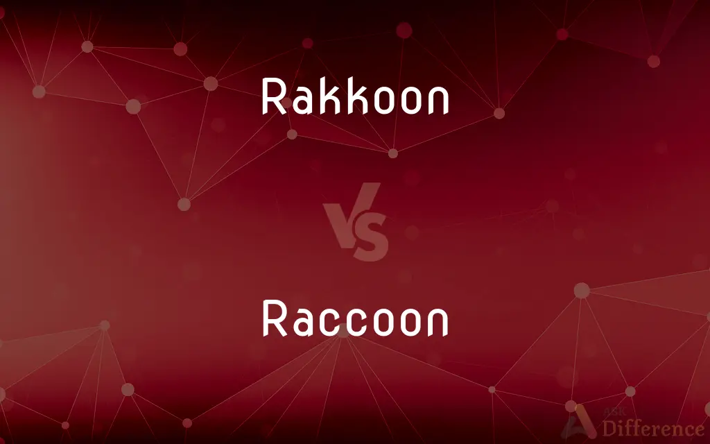Rakkoon vs. Raccoon — Which is Correct Spelling?