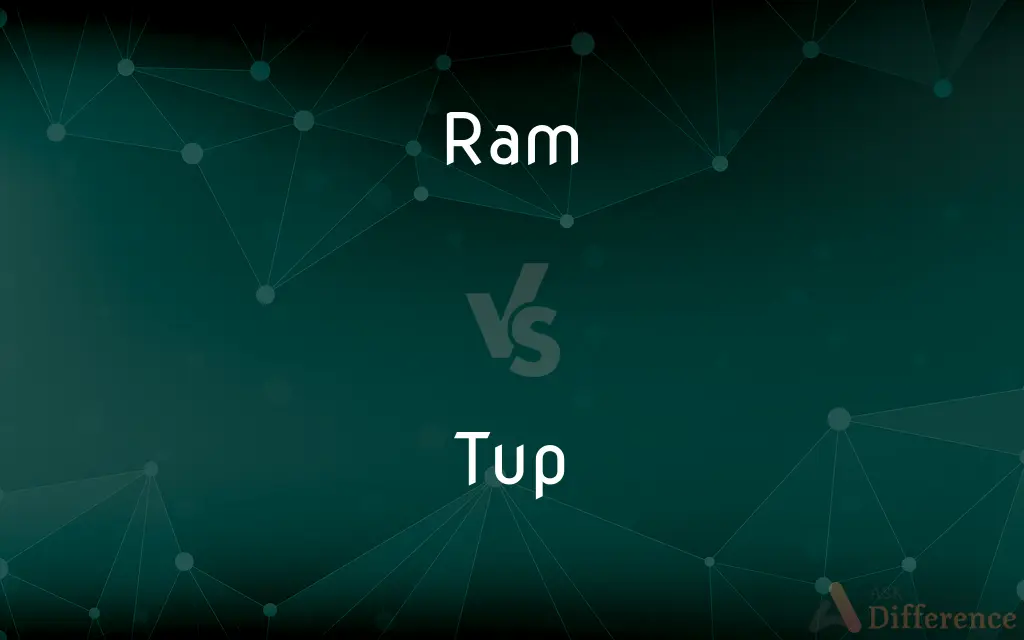 Ram vs. Tup — What's the Difference?