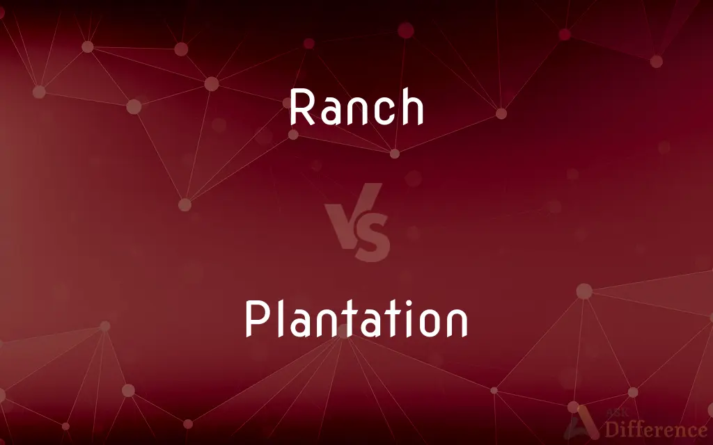 Ranch vs. Plantation — What's the Difference?