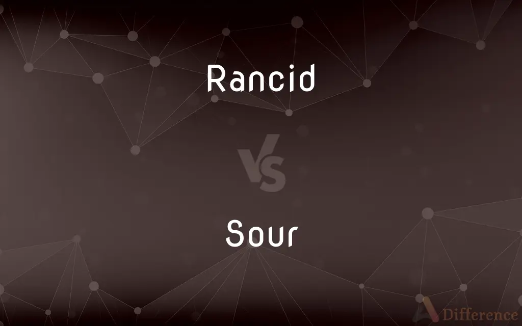 Rancid vs. Sour — What's the Difference?
