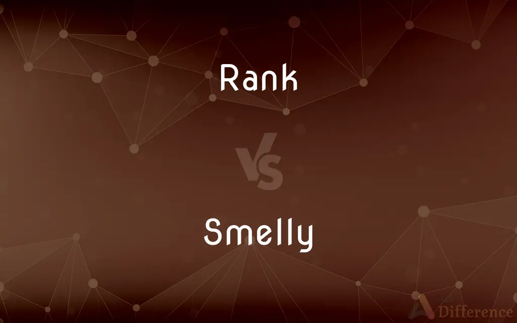 Rank vs. Smelly — What's the Difference?