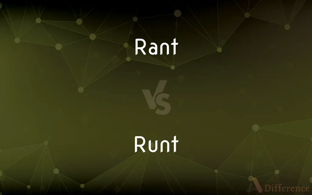 Rant vs. Runt — What's the Difference?