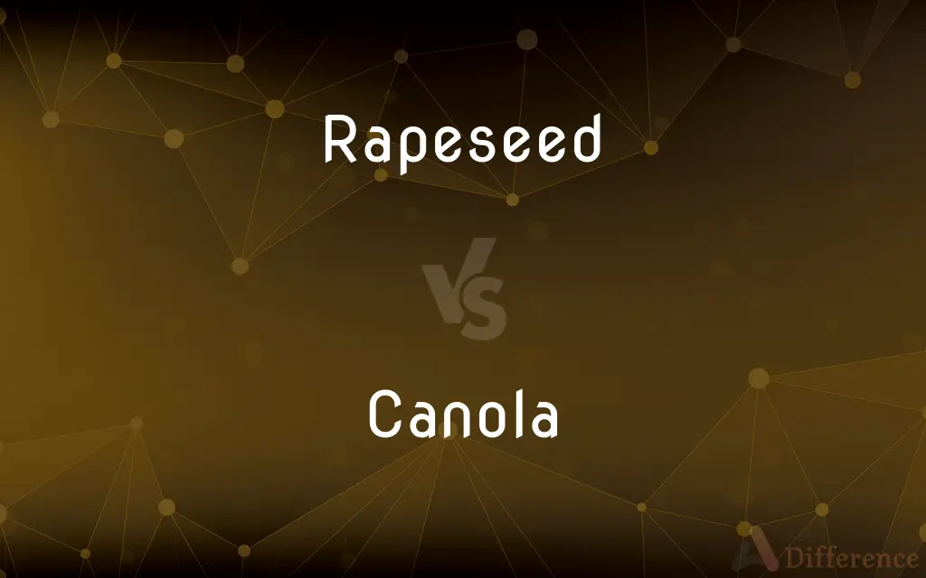 Rapeseed vs. Canola — What's the Difference?