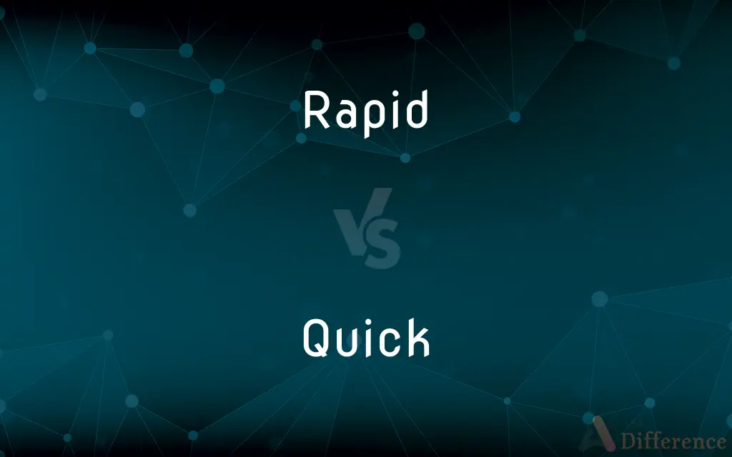Rapid vs. Quick — What's the Difference?