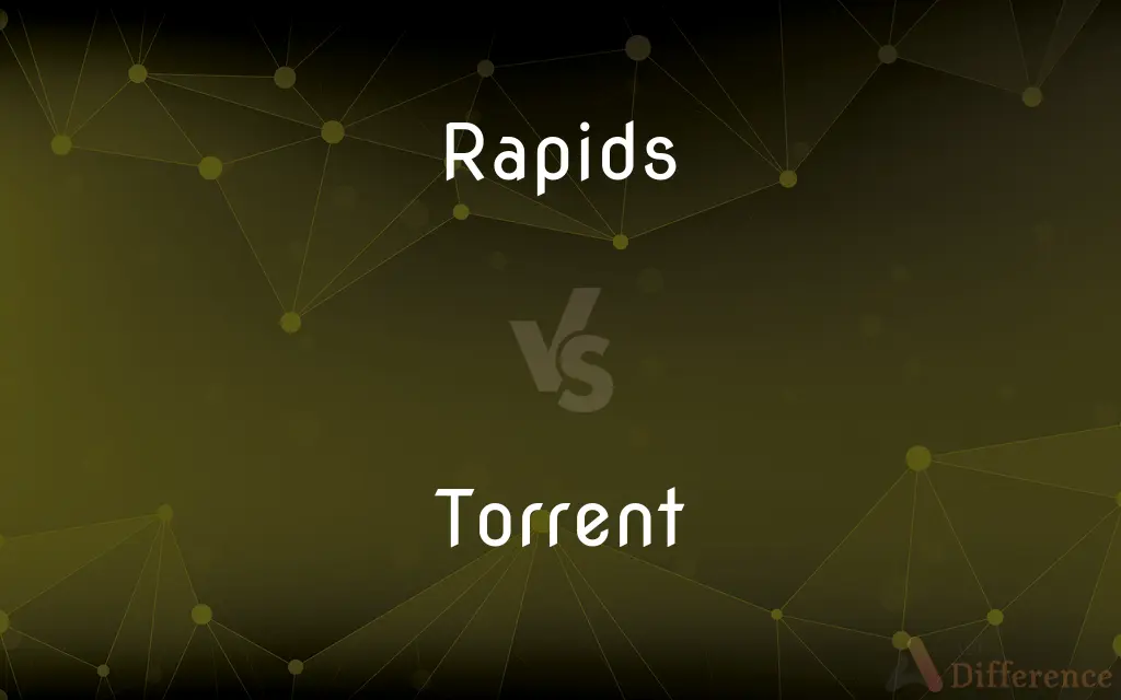 Rapids vs. Torrent — What's the Difference?