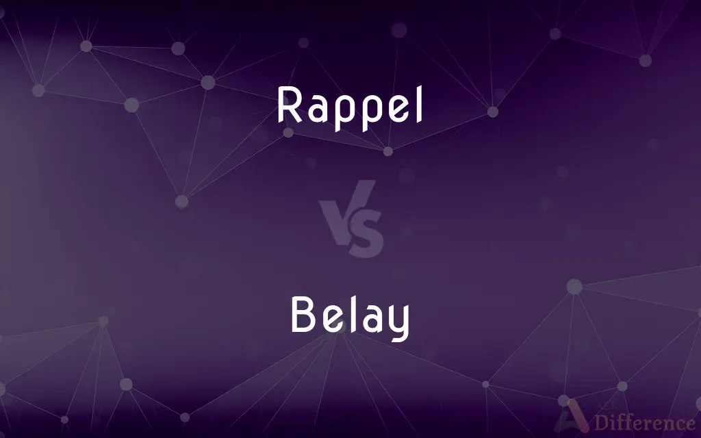 Rappel vs. Belay — What's the Difference?