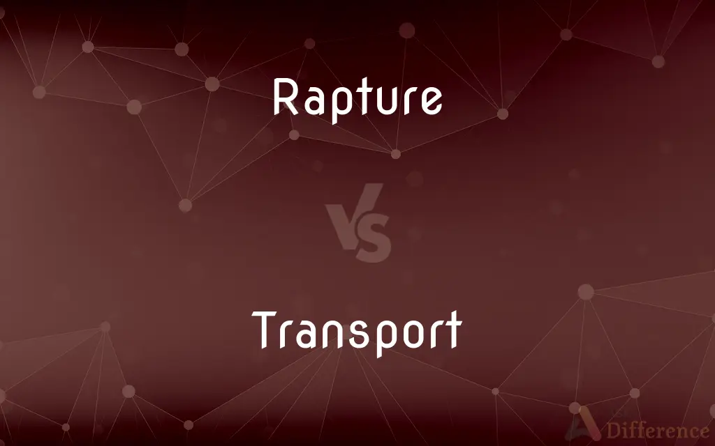 Rapture vs. Transport — What's the Difference?