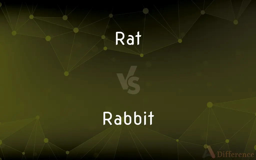 Rat vs. Rabbit — What's the Difference?