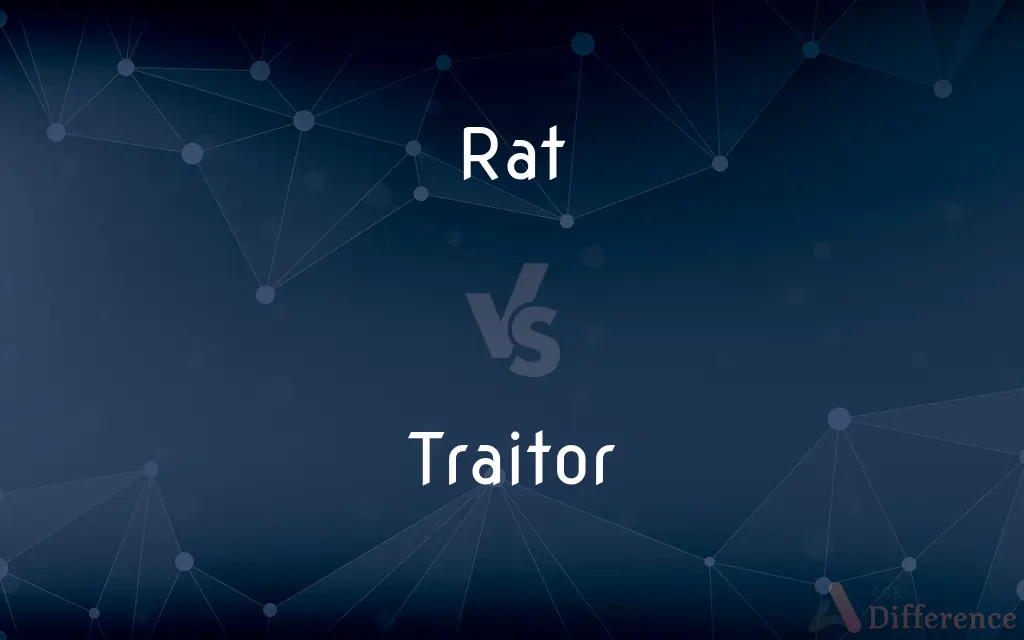 Rat vs. Traitor — What's the Difference?
