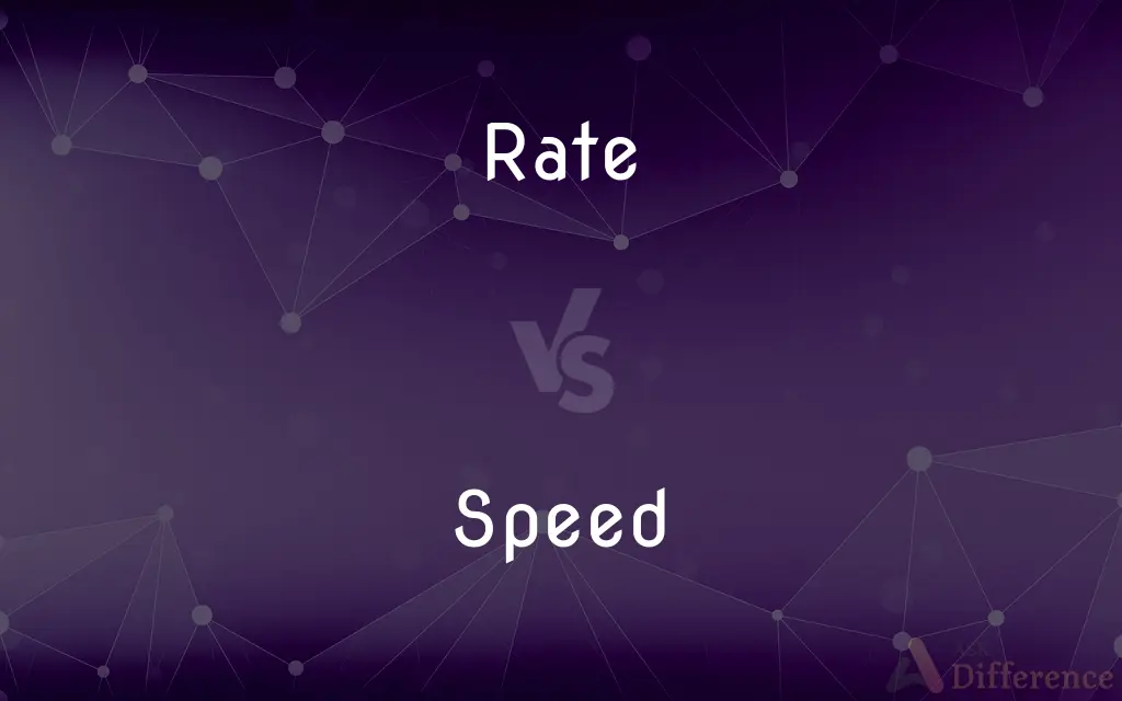 Rate vs. Speed — What's the Difference?