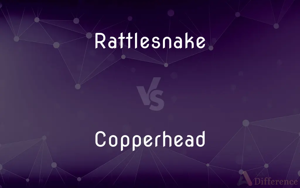 Rattlesnake vs. Copperhead — What's the Difference?