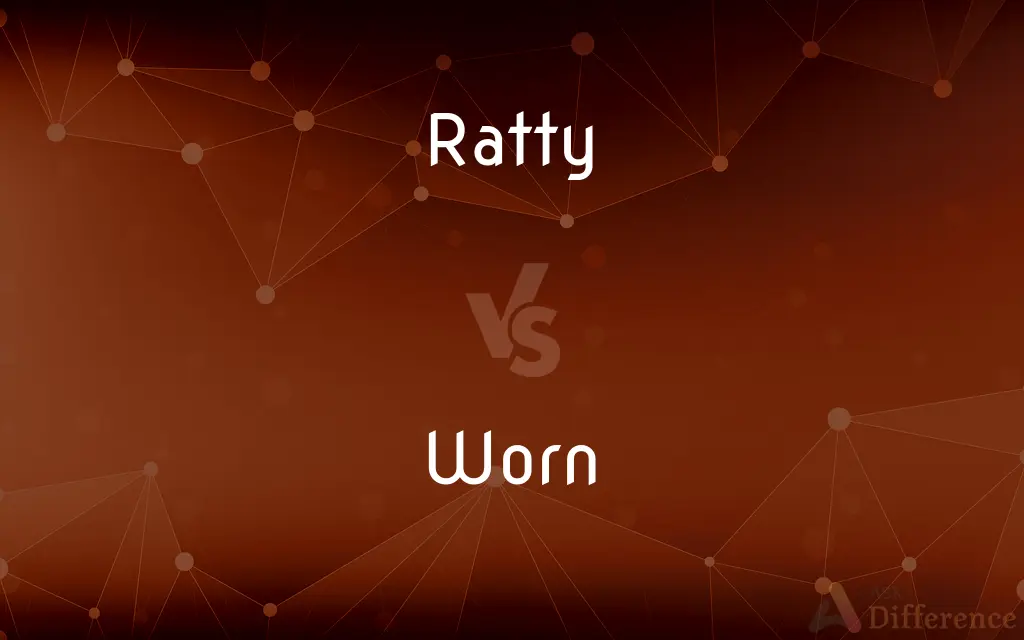 Ratty vs. Worn — What's the Difference?