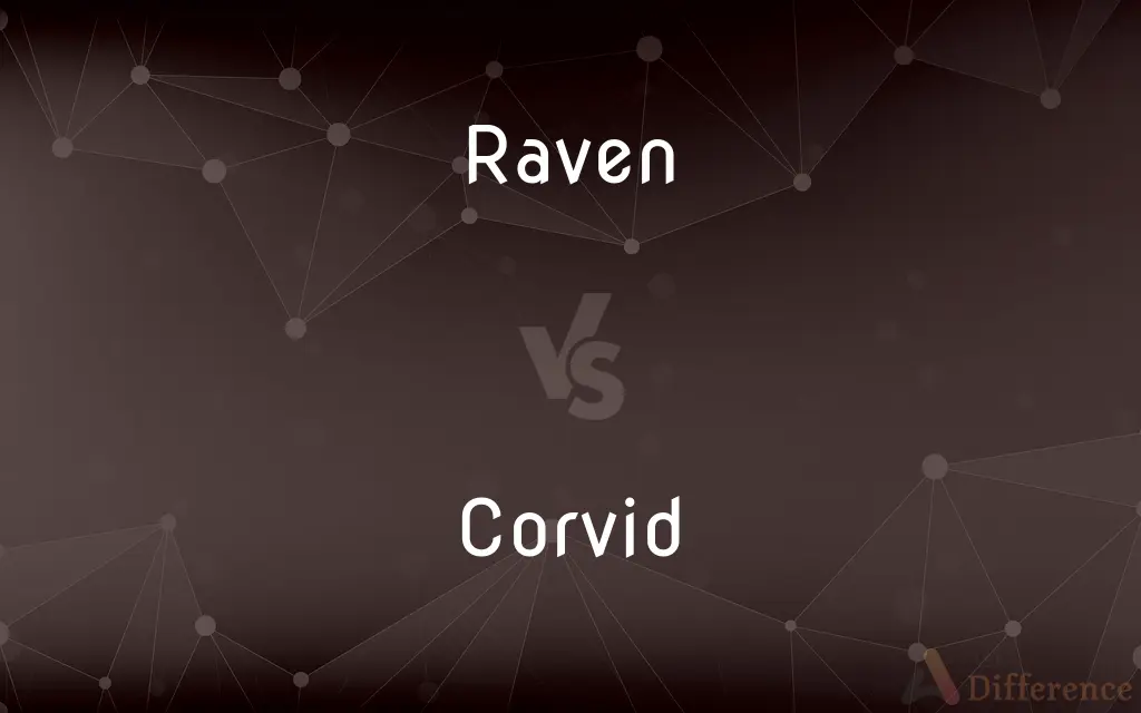 Raven vs. Corvid — What's the Difference?